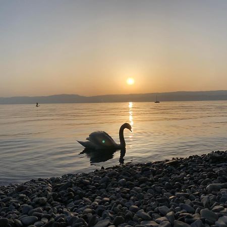 Chez Mat Bed and Breakfast Τονόν-λε-Μπαιν Εξωτερικό φωτογραφία